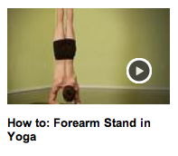 How to: Forearm Stand in Yoga with Kiki Flynn Natural Health and Yoga Expert