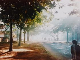 Ancient Royal Roads Ancient Royal Roads