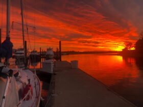 Members Only Access: KikiTV Weekly Schedule (November 16, 2020)